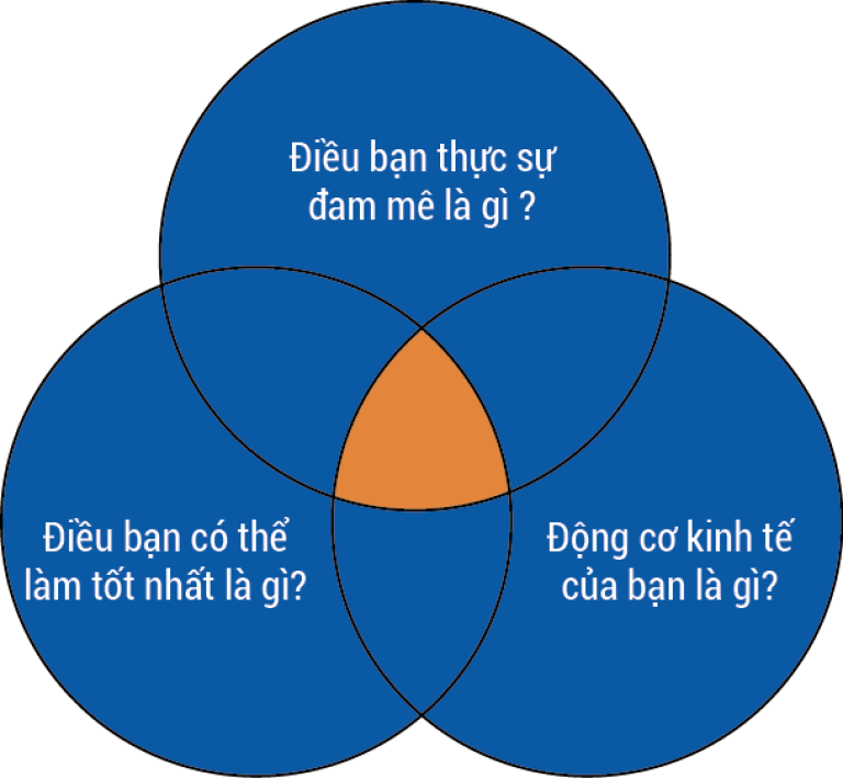 vòng chọn lựa chọn