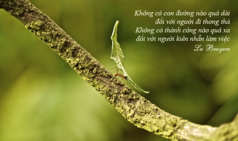 hãy kiên nhẫn