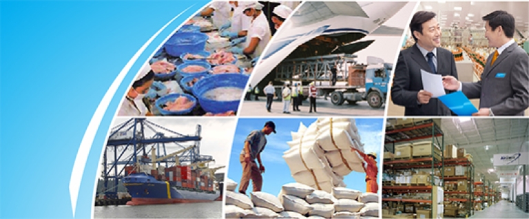 Hoạt động xuất nhập khẩu