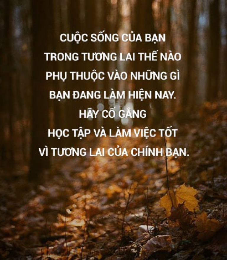 Ngành Kiến Trúc có thực sự ngồi chơi xơi nước
