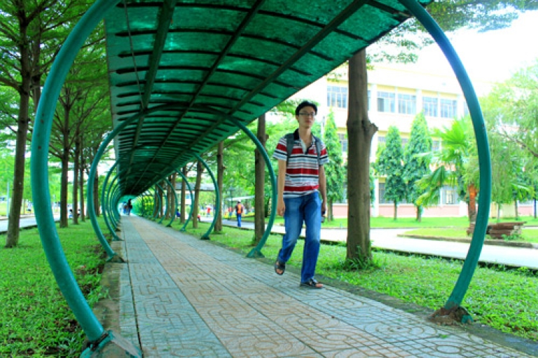 con đường dẫn tới các lớp học