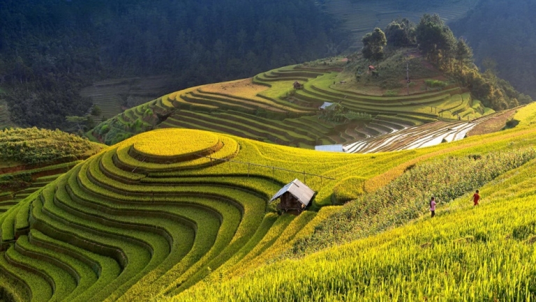 tây bắc