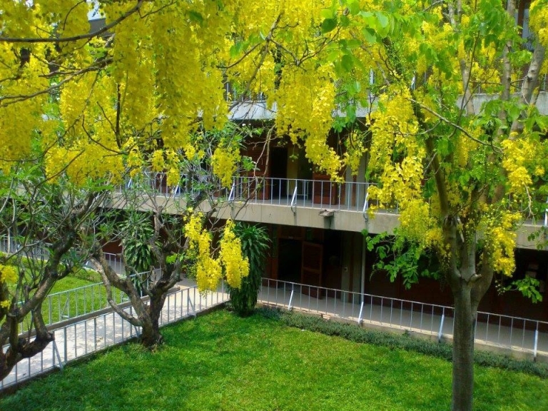 su pham ky thuat tphcm