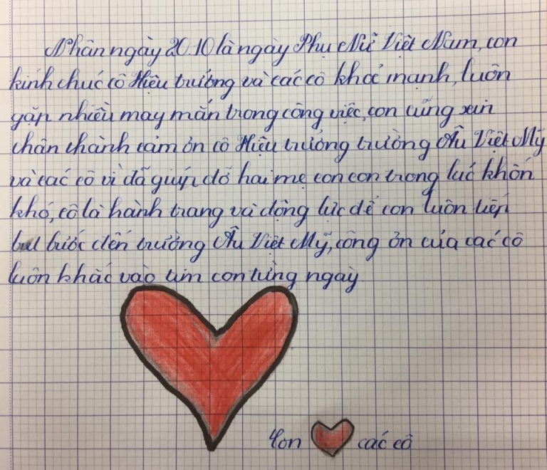 trung tam âu việt mỹ