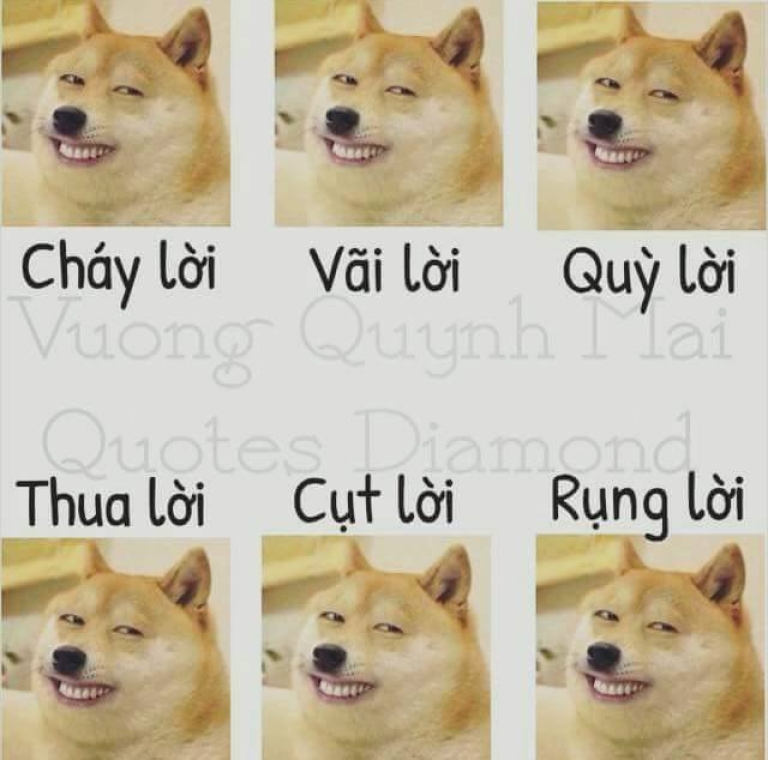 Sự sáng tạo không ngừng khi các bạn trẻ muốn thể hiện trong những tình huống không còn gì để nói