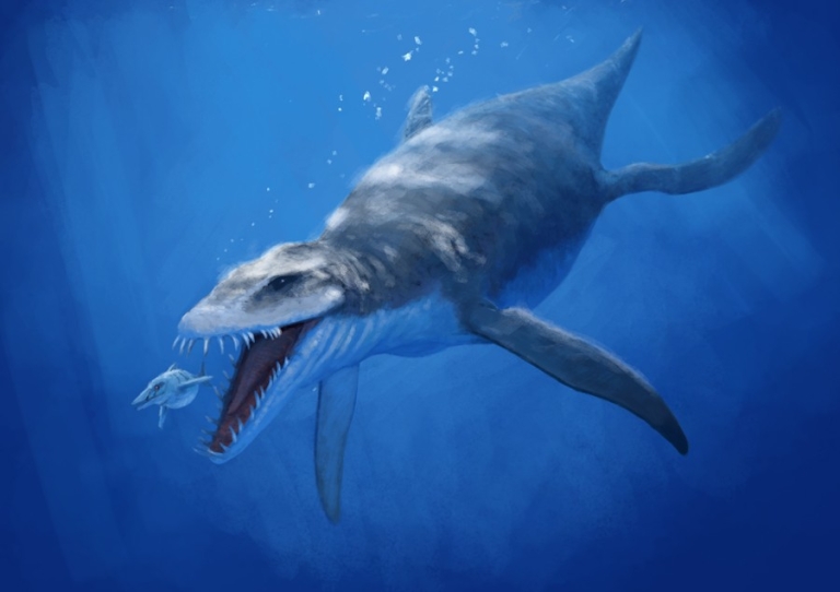 Liopleurodon