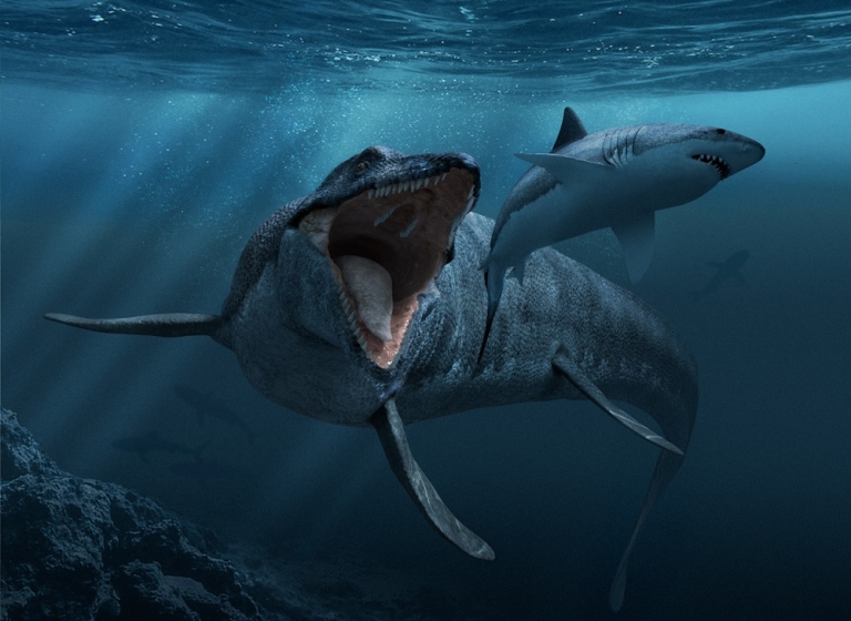 Mosasaurus