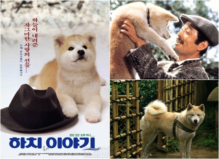 Top 5 bộ phim Nhật có kết thúc buồn nhất