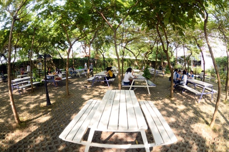 Điều gì khiến Thăng Long là đại học đẹp nhất Hà Nội?