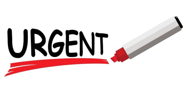 Dùng bút chì gạch từ khóa giúp bạn dễ dàng nắm ý chính hơn