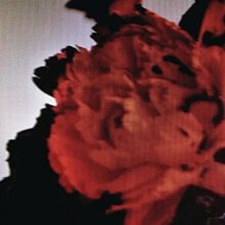 Top 10 bản nhạc Âu Mỹ hay nhất năm 2014