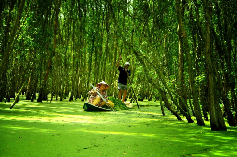 Top 5 rừng nguyên sinh mang vẻ đẹp “ủy mị” ở Việt Nam