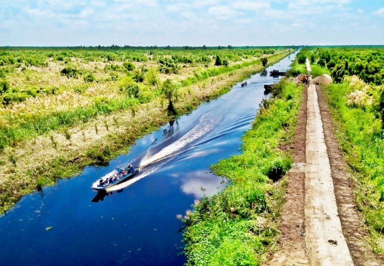 Top 5 rừng nguyên sinh mang vẻ đẹp “ủy mị” ở Việt Nam