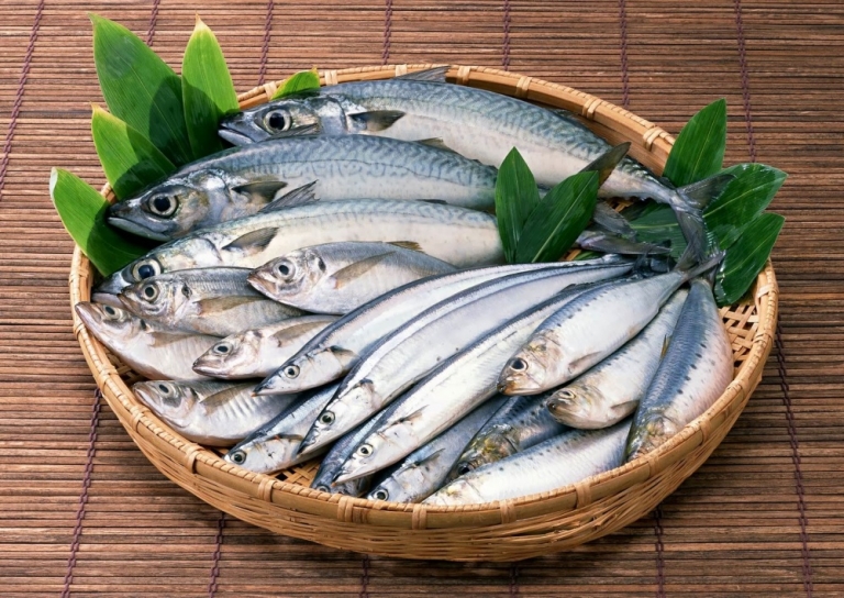 Cá - nguồn dinh dưỡng thiết yếu cho sự phát triển của cơ thể (Nguồn: hangtieudungvietnam.net