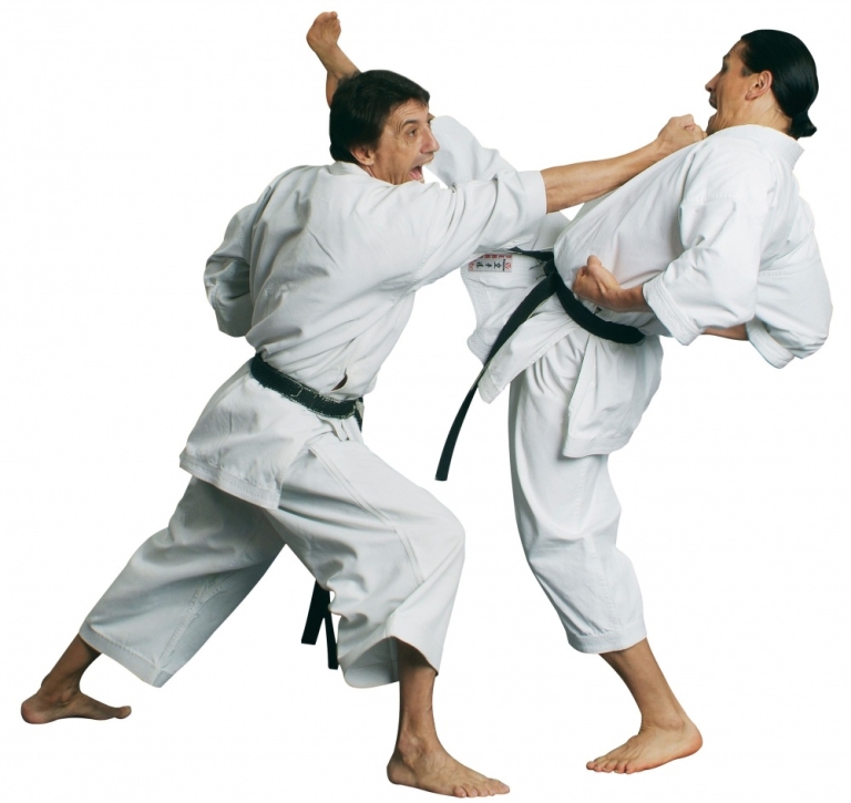 Ra đời từ đầu thế kỉ XX, Karate là một môn võ chuyên để phòng vệ.