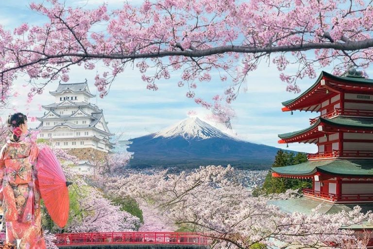 Học tiếng Nhật cũng thú vị như các ngôn ngữ khác (Nguồn: Glolink)