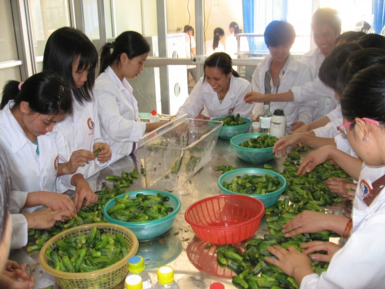 Một buổi thực hành của sinh viên ngành công nghệ thực phẩm