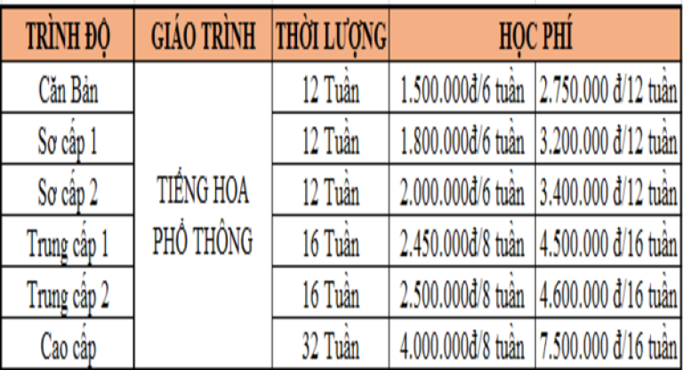 Các khóa học ngoại ngữ Newsky