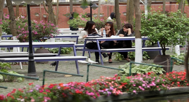 Vườn sinh viên với nhiều loài hoa rực rỡ (Nguồn: Vnexpress)