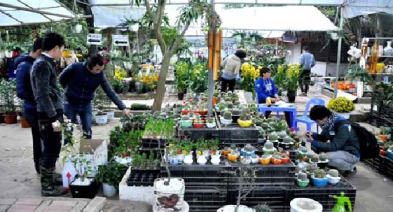 Vườn hoa sinh viên Đại học Nông nghiệp (Nguồn: Giáo dục)