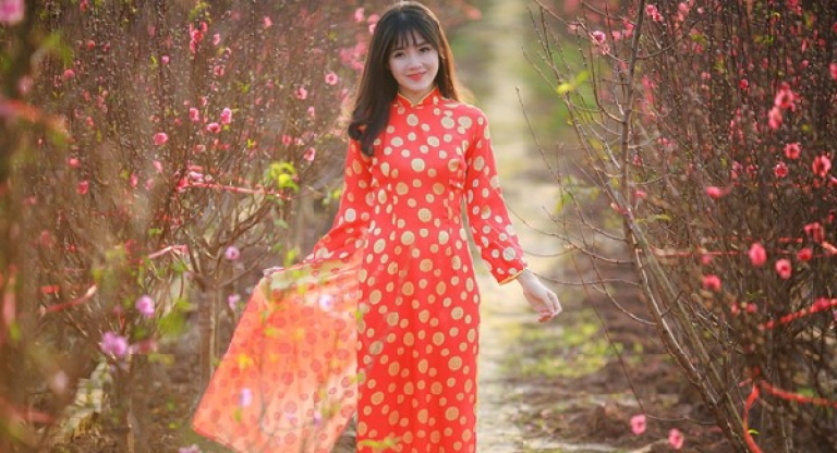 Một góc vườn đào Nhật Tân (Nguồn: Kinh tế đô thị)