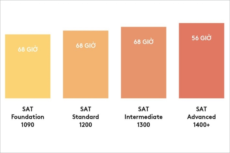 truong-anh-ngu-yola-1