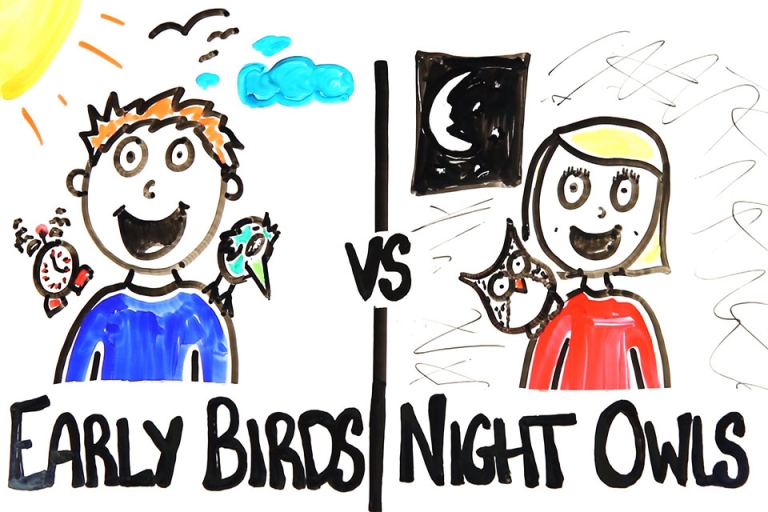 “An early bird” có nghĩa là người hay dậy sớm và trái nghĩa của nó là “a night owls”