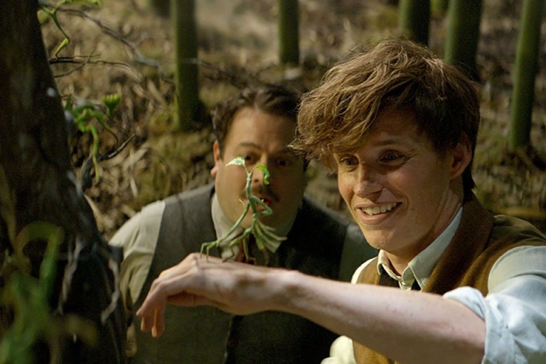 Pickket - một Bowtruckle được nhân vật chính nuông chiều và trân trọng