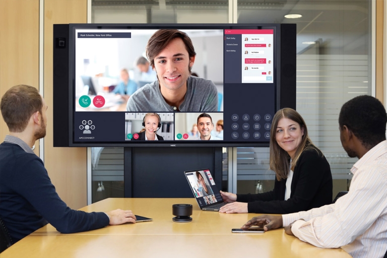 Canadian Citizenship: Video conference