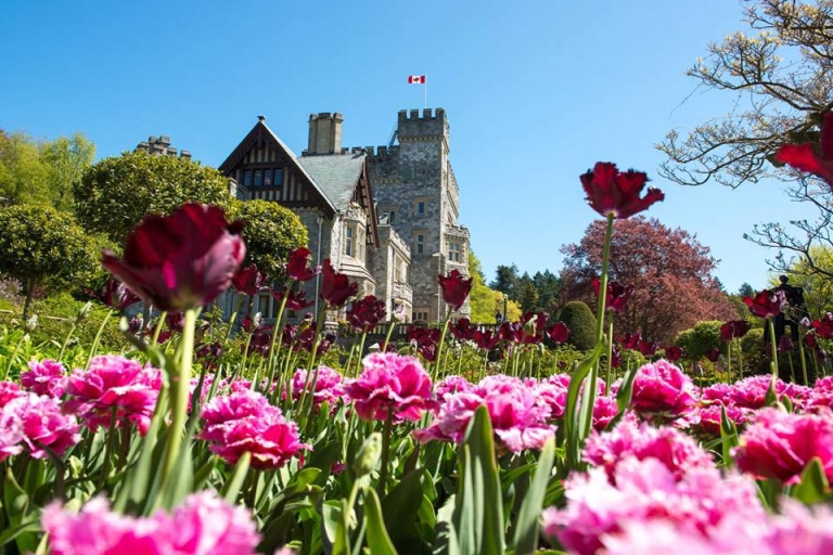 các trường đại học ở Victoria Canada đại học royal roads