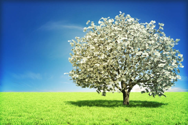 Ô kìa, tiền mọc trên cây (Nguồn: GreenBiz)