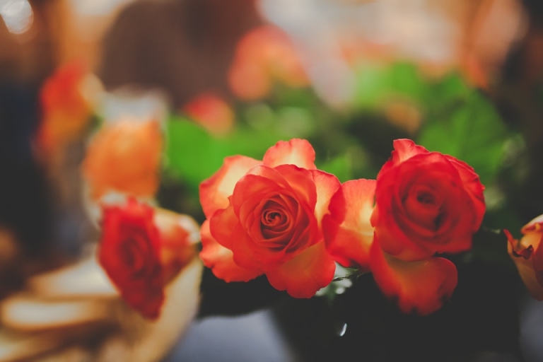 Đã bao lâu bạn chưa tặng hoa cho mẹ rồi? (Nguồn: HD Wallpaper)