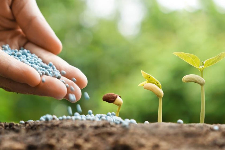 Có kiến thức về môi trường sẽ giúp cho các hoạt động kinh tế, xã hội mang tính bền vững (Nguồn: Ecoclean)