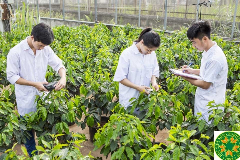Sinh viên trải qua nhiều giờ học thực tế thiết thực
