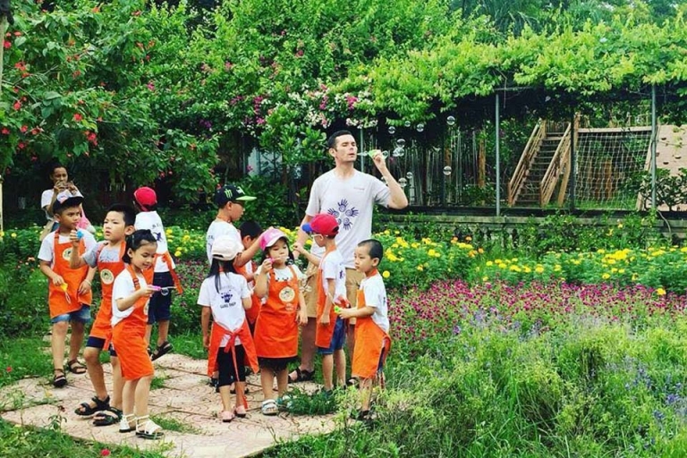 Trung tâm có những hoạt động, chương trình phù hợp vào từng trình độ, lứa tuổi khác nhau