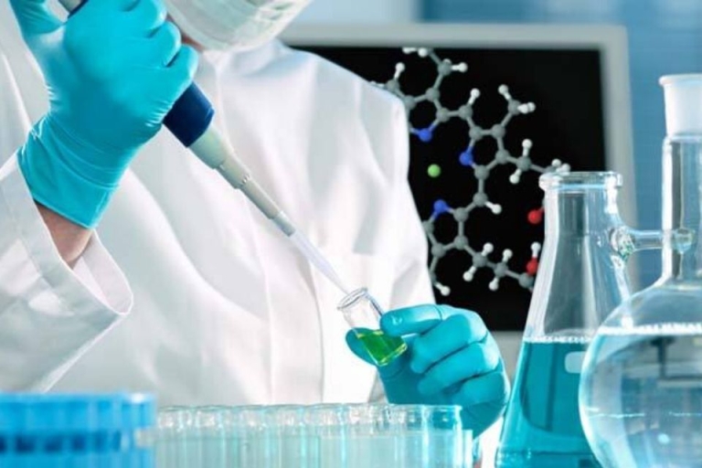 Các khóa học về luật lệ y tế của liên bang và tiểu bang cũng là một học phần quan trọng trong chương trình đào tạo