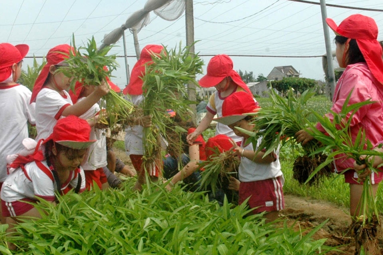 trường mầm non quốc tế Đà Nẵng