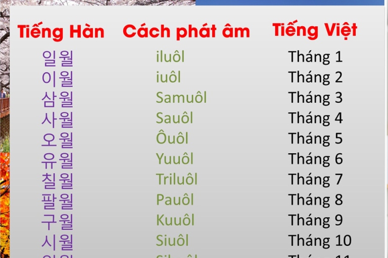 Cách viết các tháng trong tiếng Hàn (Nguồn: Facebook - Giỏi tiếng Hàn)