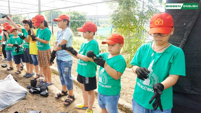 Trung tâm Anh ngữ Big Ben