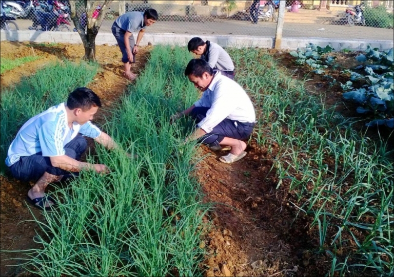 Sinh viên Vcard trong buổi học thực hành