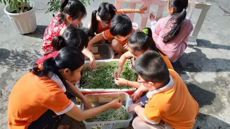 Trường Mầm non Việt Mỹ