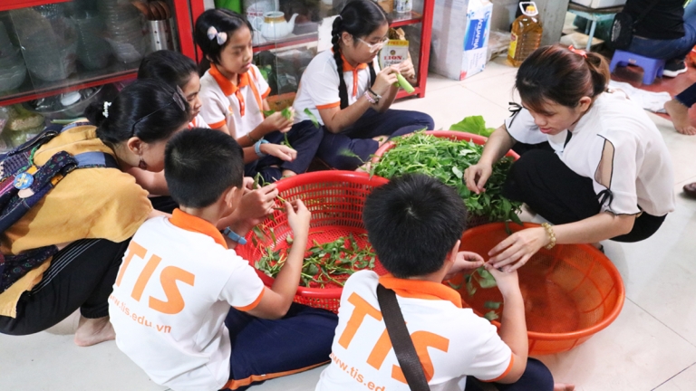 Hệ thống Giáo dục Phổ thông Quốc tế TIS