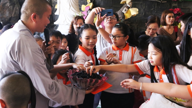 Hệ thống Giáo dục Phổ thông Quốc tế TIS