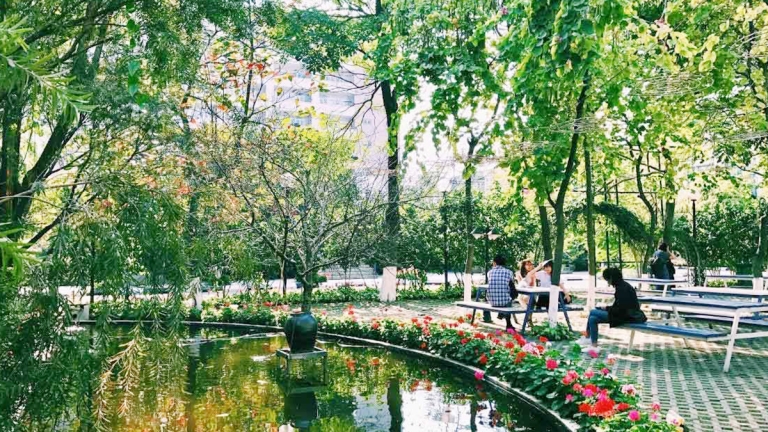 Trường Đại Học Thăng Long