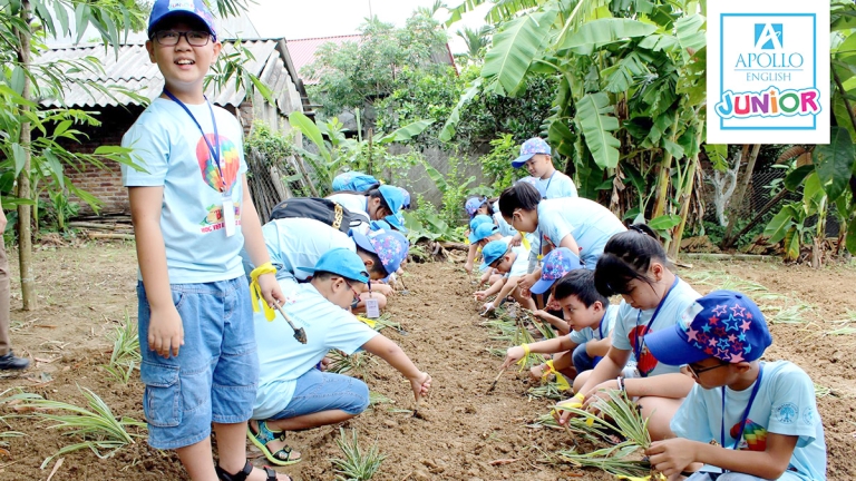 Trung tâm tiếng Anh Apollo