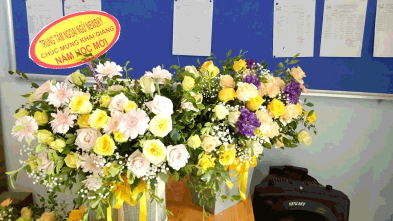 Trung tâm Ngoại ngữ New Sky Quảng Bình