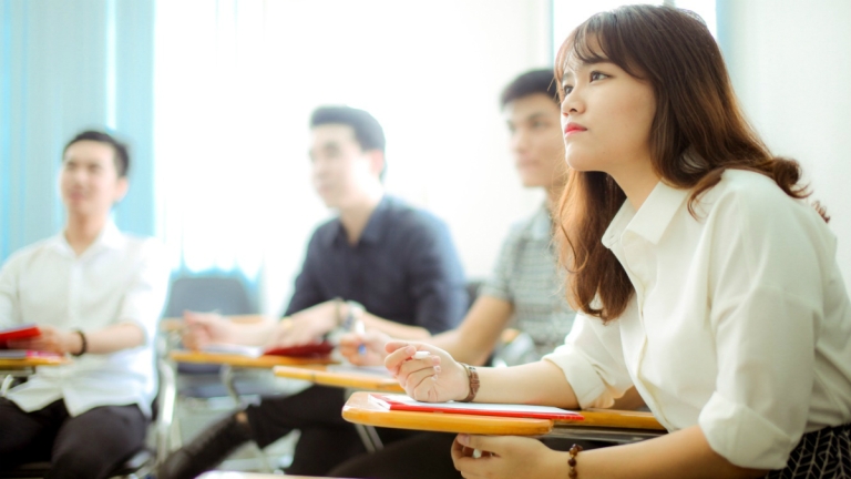 Hoa Văn Thương Mại Thành Phố SHZ