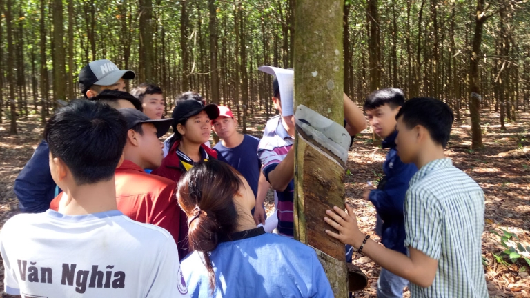 Trường Cao Đẳng Công Nghiệp Cao Su