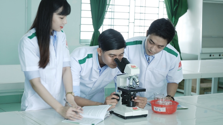 Trường Cao đẳng Miền Nam