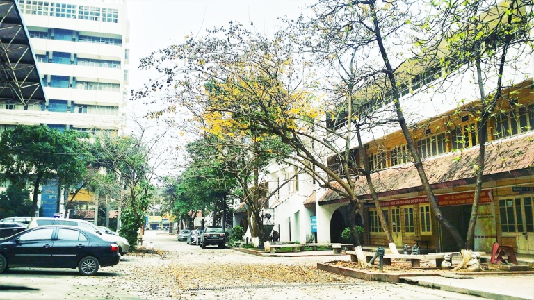 Trường Đại Học Kiến Trúc Hà Nội